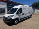 Fiat Ducato 250 Furgon chłodniczy z 3 komorami